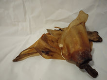 Load image into Gallery viewer, XL Buffalo Ears 5 Pack