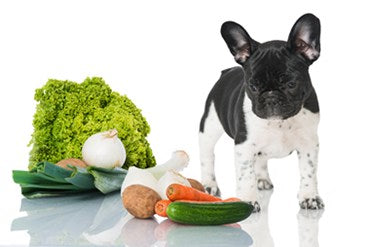 Pets and Nutrition