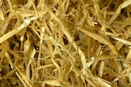 100% Natural Golden Barley Straw